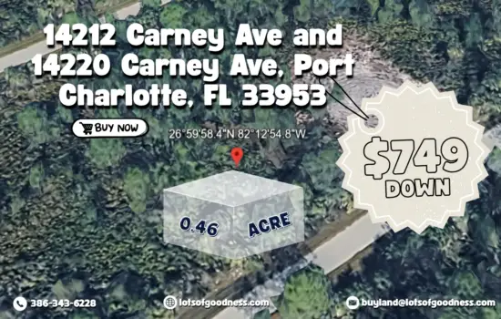 Two lots on Carney Ave for just $749 Down by LOG!