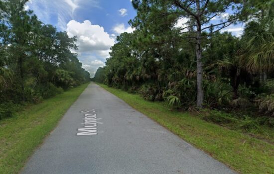 EARLY CHRISTMAS SALE! Your Land on Munoz St. Minutes from Myakka River by LOG