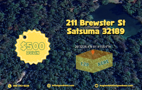 Private Lake near front property, over 1+ acre in Satsuma by LOG