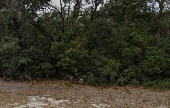…0.37 acre on Gobbler lot. Few blocks from County Road 315. Just $500 Down.