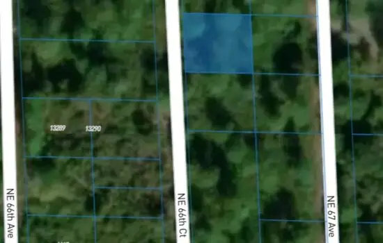 Your Private Land on NE 66 Ct Citra, FL