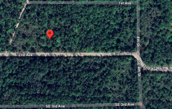 WEEKLY DEALS: $1000 OFF! Over Half an Acre on 2nd Ave, High and Dry Ground near W River Rd for Just $500 Down by JJR