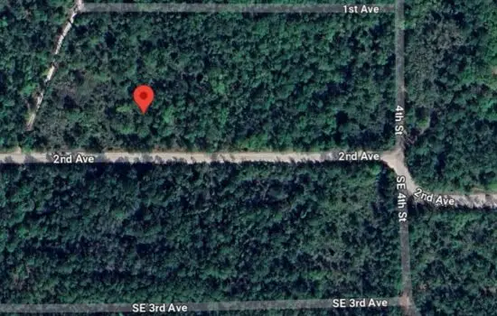 WEEKLY DEALS: $1000 OFF! Over Half an Acre on 2nd Ave, High and Dry Ground near W River Rd for Just $500 Down by JJR