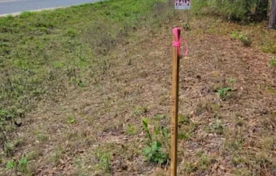 Corner. 3 lots on a Paved Road at Francis St by L of G