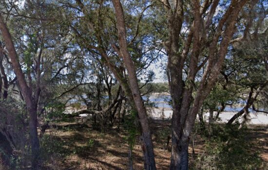 Your Lakefront Property. 1/4+ acre on Lake Lucy Crescent.