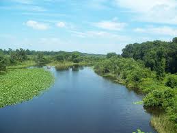 Lake Ocklawaha River
