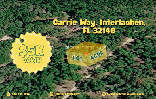 Carrie Way Lot on a Dirt Road. No HOAs with flat topography! by LOG