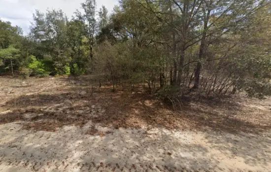 0.22 Acres in Kitty Avenue, FL $237/mo by SPS.