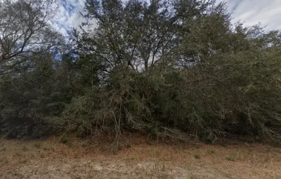 0.22 Acres in O Farrell Avenue, FL $237/mo by SPS.