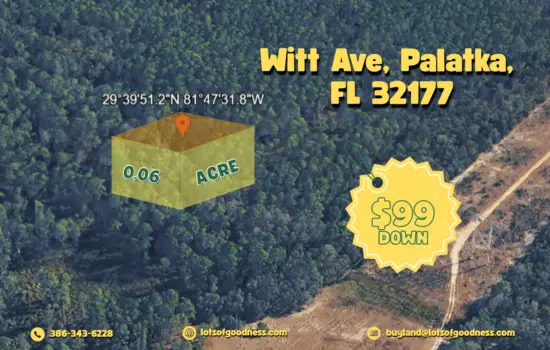 No Pathway, No Access, No Problem. Be a land owner anyway near Witt Ave by LOG.