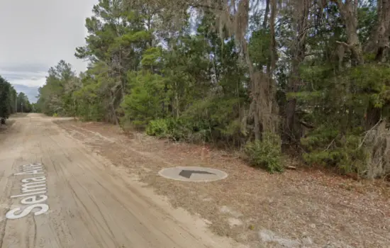 0.22 Acres in Selma Avenue, FL $199/mo by SPS