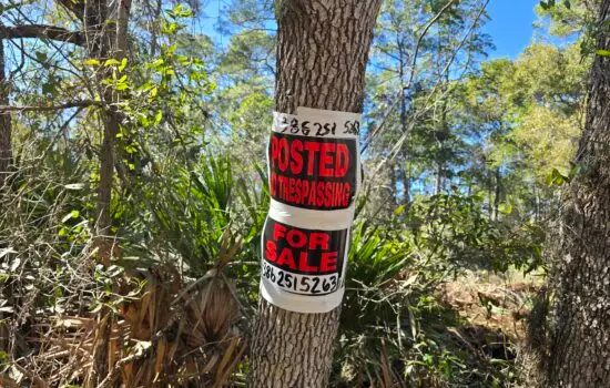 Theresa Ave on a Paved Road. Flat topography with no flood zones! by LOG