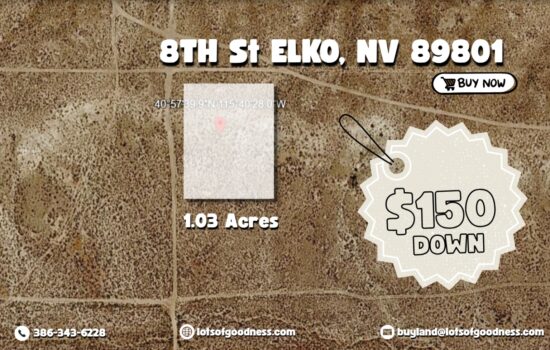 1.03 Acre on Elko County Perfect for Serene Activities. On High and Dry Ground by LOG.