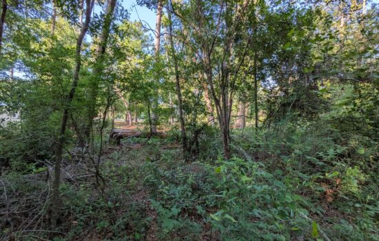 SUMMER SUPER SALE! Affordable 0.23 Land For Sale – Live Oak, FL! by COV