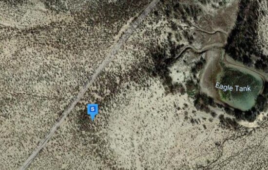 Your Hunting Land in Texas by LOG.