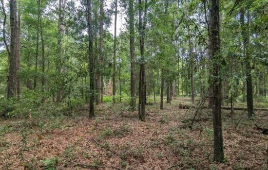 SUMMER SUPER SALE! Your Slice of North Florida! 2‑Acre Wooded Retreat in O’Brien, FL by COV