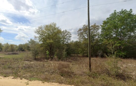 Double Lot Opportunity on Lenore Ave – RV Ready & Buildable for just $500 Down by LOG