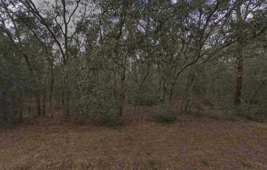 FALL SUPER SALE! A 0.43 acres public road lot at 11211 Del Monaco Ave by Ed