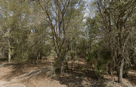 Your Easy Access Lot at Dawson Dr for just $500 Down by JJR