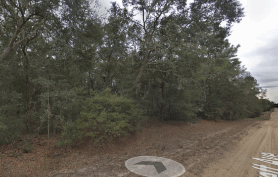 WHOLESALE DEAL! Prime Property Near a House at Brett Ave for Just $4,800 Cash — 7 Days Only, No Owner Financing. by LOG