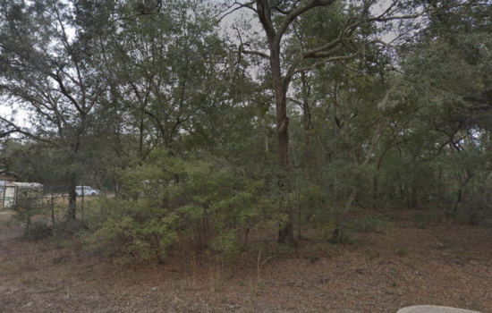 CHRISTMAS SUPER SALE! 2 Properties With Electricity Beside a House at Brett Ave for just $1,000 Down.